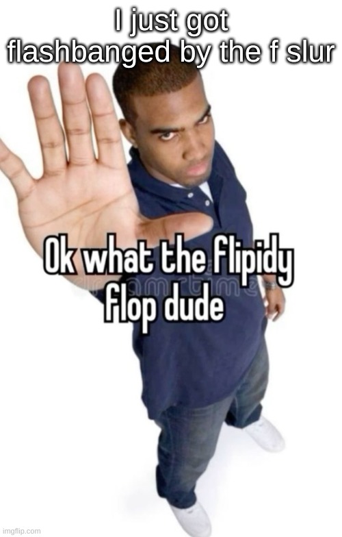 Ok what the flipity flop dude | I just got flashbanged by the f slur | image tagged in ok what the flipity flop dude | made w/ Imgflip meme maker