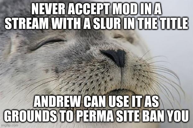 Satisfied Seal | NEVER ACCEPT MOD IN A STREAM WITH A SLUR IN THE TITLE; ANDREW CAN USE IT AS GROUNDS TO PERMA SITE BAN YOU | image tagged in memes,satisfied seal | made w/ Imgflip meme maker