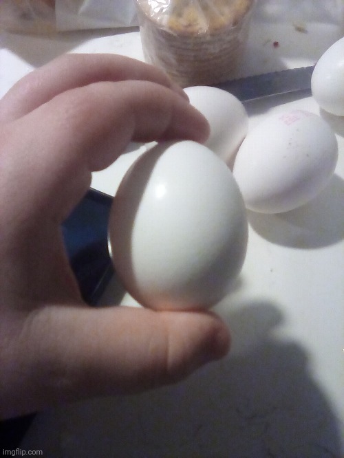 Egg | image tagged in egg | made w/ Imgflip meme maker