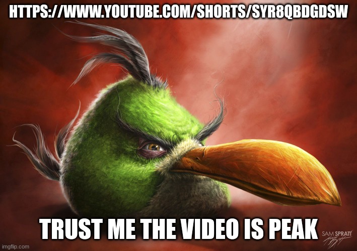 Realistic Angry Bird | HTTPS://WWW.YOUTUBE.COM/SHORTS/SYR8QBDGDSW; TRUST ME THE VIDEO IS PEAK | image tagged in realistic angry bird | made w/ Imgflip meme maker