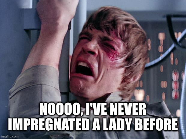 luke nooooo | NOOOO, I'VE NEVER IMPREGNATED A LADY BEFORE | image tagged in luke nooooo | made w/ Imgflip meme maker