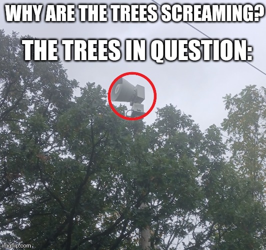 THE TREES IN QUESTION:; WHY ARE THE TREES SCREAMING? | made w/ Imgflip meme maker