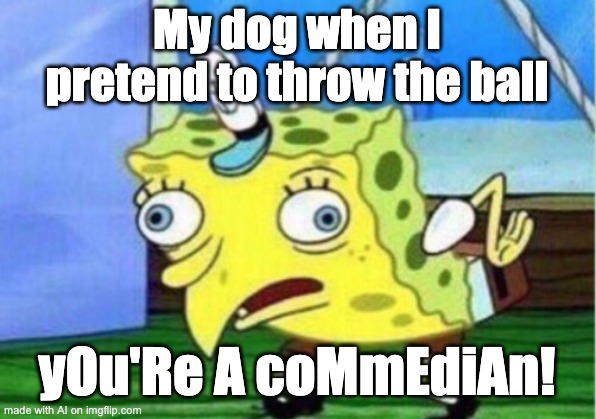 Mocking Spongebob Meme | My dog when I pretend to throw the ball; yOu'Re A coMmEdiAn! | image tagged in memes,mocking spongebob | made w/ Imgflip meme maker