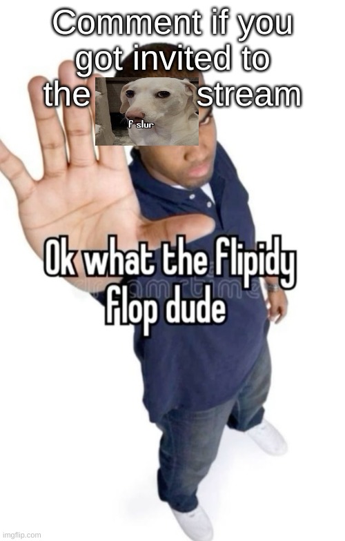 Ok what the flipity flop dude | Comment if you got invited to the           stream | image tagged in ok what the flipity flop dude | made w/ Imgflip meme maker