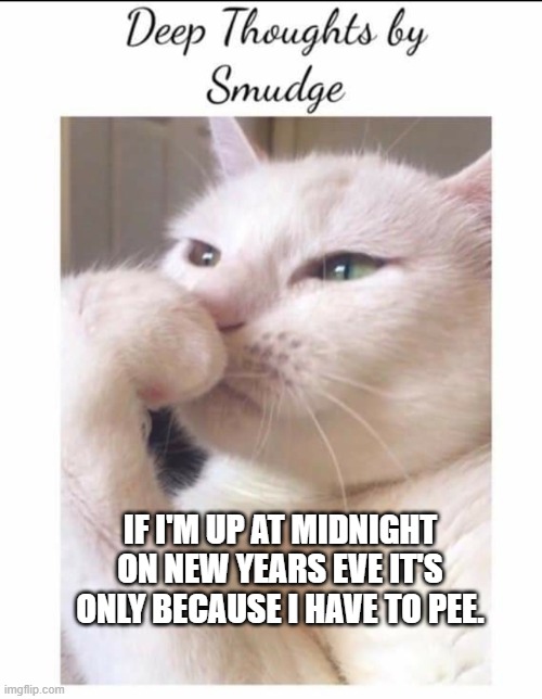 New Years eve | IF I'M UP AT MIDNIGHT ON NEW YEARS EVE IT'S ONLY BECAUSE I HAVE TO PEE. | image tagged in smudge | made w/ Imgflip meme maker