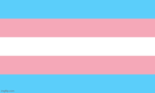 Trans Flag | image tagged in trans flag | made w/ Imgflip meme maker