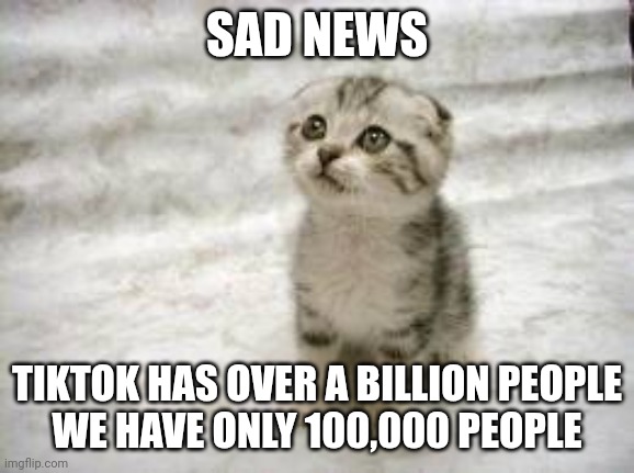 Sad Cat | SAD NEWS; TIKTOK HAS OVER A BILLION PEOPLE
WE HAVE ONLY 100,000 PEOPLE | image tagged in memes,sad cat | made w/ Imgflip meme maker