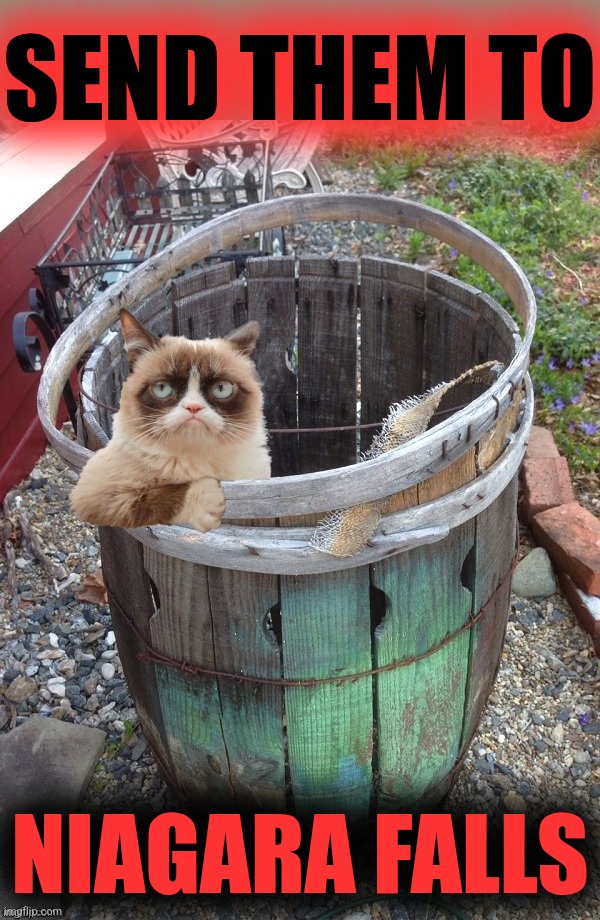 Grumpy Cat Barrel | SEND THEM TO NIAGARA FALLS | image tagged in grumpy cat barrel | made w/ Imgflip meme maker