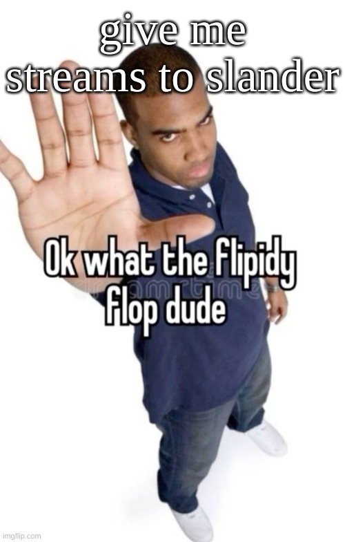 Ok what the flipity flop dude | give me streams to slander | image tagged in ok what the flipity flop dude | made w/ Imgflip meme maker
