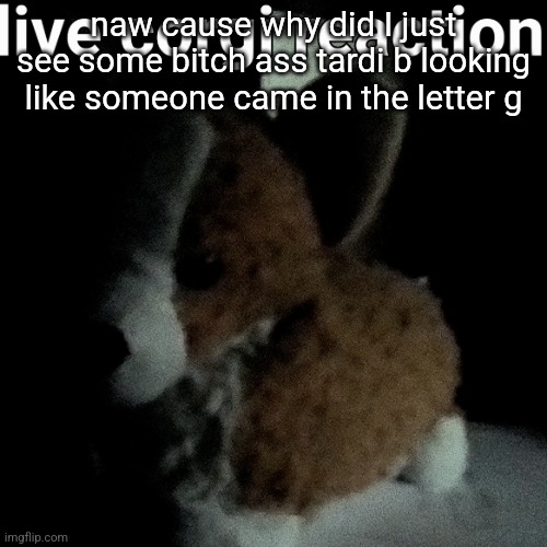 live corgi reaction | naw cause why did I just see some bitch ass tardi b looking like someone came in the letter g | image tagged in live corgi reaction | made w/ Imgflip meme maker