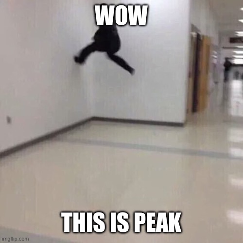 Floor is lava | WOW THIS IS PEAK | image tagged in floor is lava | made w/ Imgflip meme maker