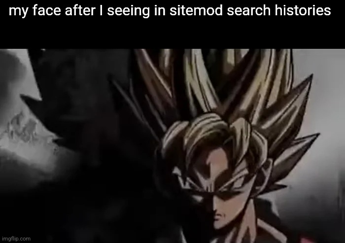 Goku Staring | my face after I seeing in sitemod search histories | image tagged in goku staring | made w/ Imgflip meme maker