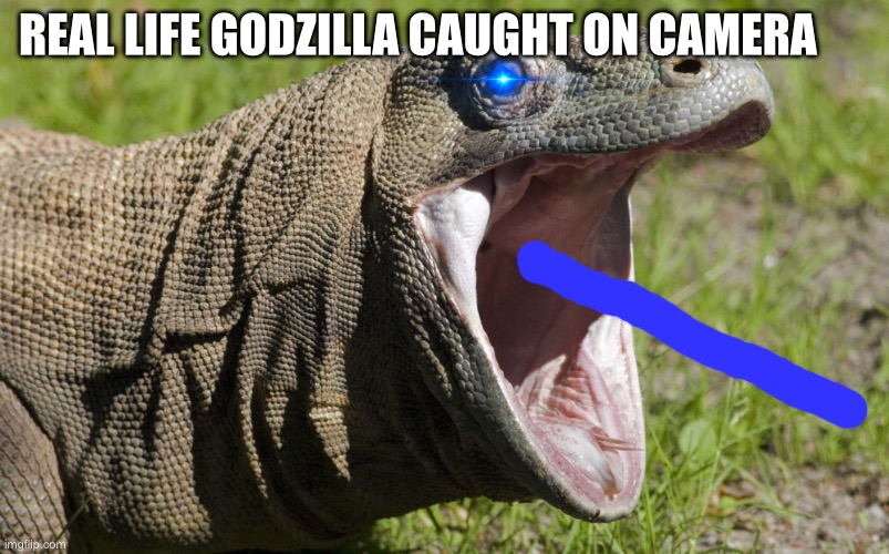 A Komodo dragon edited to look like a mini Godzilla by me | REAL LIFE GODZILLA CAUGHT ON CAMERA | image tagged in komodo | made w/ Imgflip meme maker