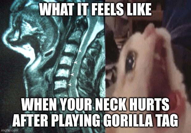 my result for first trying gorilla tag | WHAT IT FEELS LIKE; WHEN YOUR NECK HURTS AFTER PLAYING GORILLA TAG | image tagged in broken neck | made w/ Imgflip meme maker