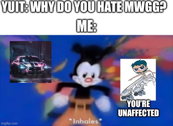 PREPARE YOUR AHH FOR A FIVE HOUR ESSAY ON WHY MWATGG SUCKS AHH | YUIT: WHY DO YOU HATE MWGG? ME:; YOU’RE UNAFFECTED | image tagged in yakko inhale | made w/ Imgflip meme maker