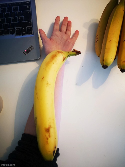 footlong banana | image tagged in not my photo | made w/ Imgflip meme maker