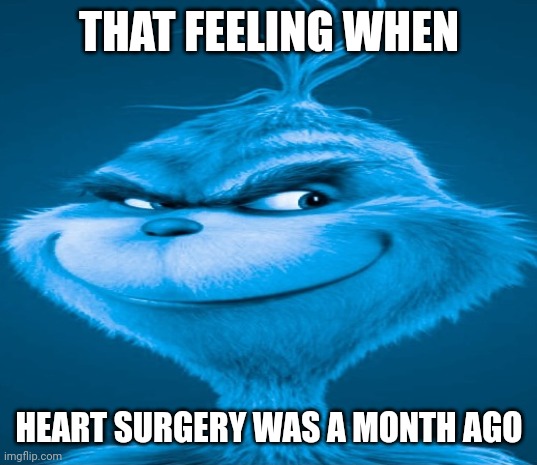 Heart Surgery | THAT FEELING WHEN; HEART SURGERY WAS A MONTH AGO | image tagged in blue grinch | made w/ Imgflip meme maker