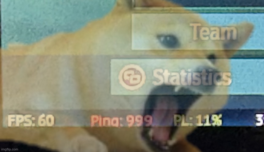 The Gaijin server hamsters are fucking dying | made w/ Imgflip meme maker