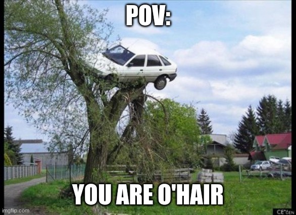 Secure Parking Meme | POV: YOU ARE O'HAIR | image tagged in memes,secure parking | made w/ Imgflip meme maker