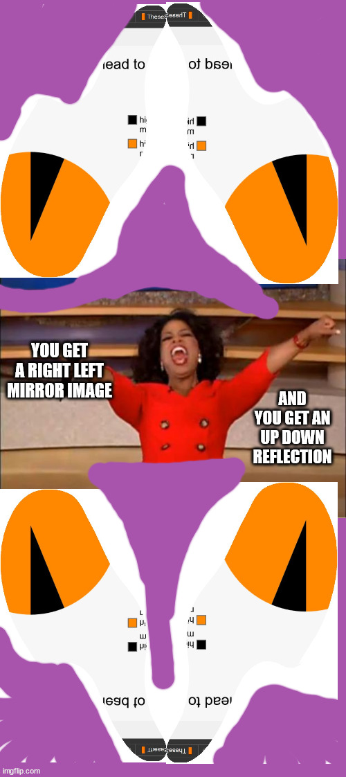 when you are overly excited because chart color scheme matches user page... and then things go south from there | YOU GET A RIGHT LEFT MIRROR IMAGE; AND YOU GET AN UP DOWN REFLECTION | image tagged in memes,oprah you get a | made w/ Imgflip meme maker