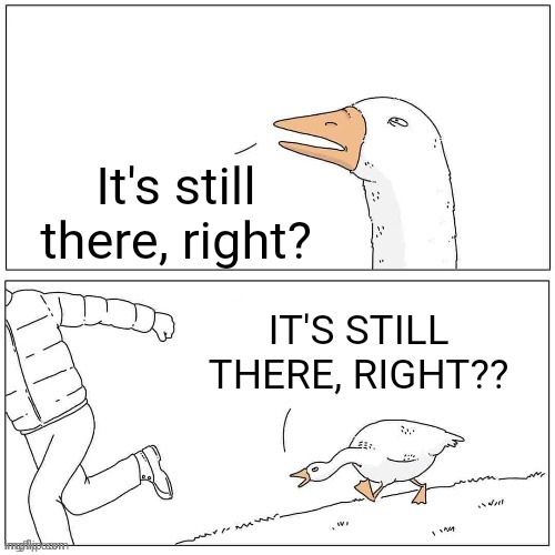 Goose Chase | It's still there, right? IT'S STILL THERE, RIGHT?? | image tagged in goose chase | made w/ Imgflip meme maker