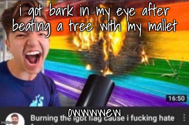 the | i got bark in my eye after beating a tree with my mallet; owwwwew | image tagged in preston | made w/ Imgflip meme maker