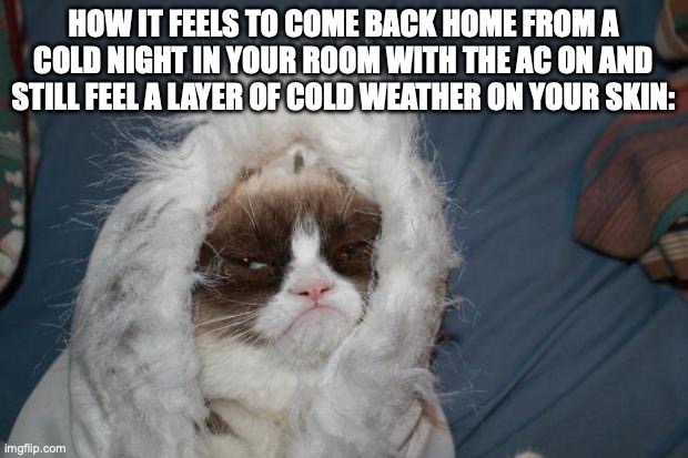 Just happened to me right now | HOW IT FEELS TO COME BACK HOME FROM A COLD NIGHT IN YOUR ROOM WITH THE AC ON AND STILL FEEL A LAYER OF COLD WEATHER ON YOUR SKIN: | image tagged in cold grumpy cat,relatable memes,memes,cold weather,freezing cold,unnecessary tags | made w/ Imgflip meme maker