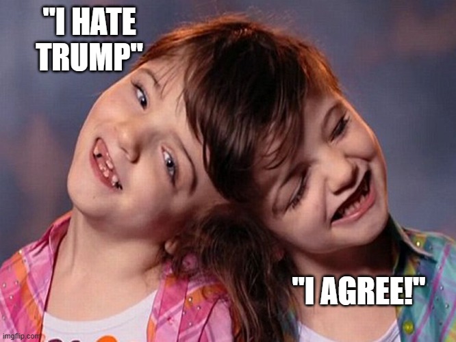 "I HATE TRUMP" "I AGREE!" | made w/ Imgflip meme maker