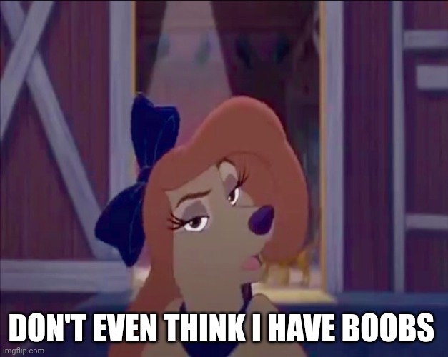 Don't Even Think I Have Boobs | DON'T EVEN THINK I HAVE BOOBS | image tagged in dixie,the fox and the hound 2,woman,sexy woman | made w/ Imgflip meme maker