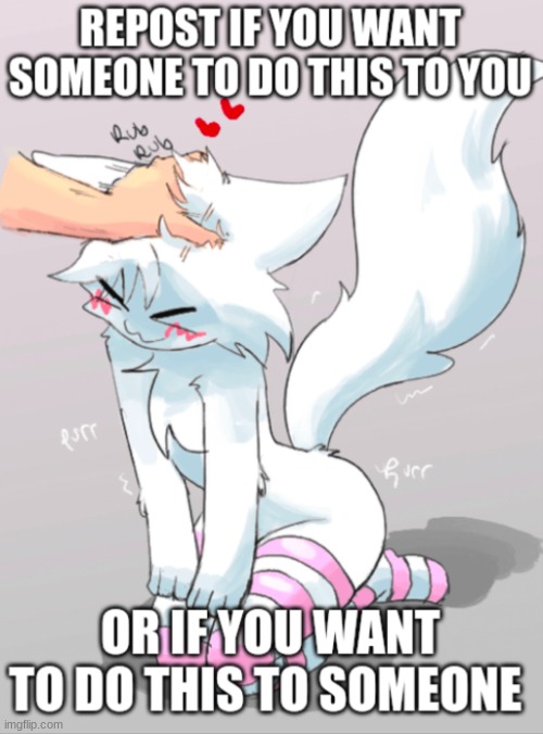 I'm reposting cause I want both | image tagged in silly cat | made w/ Imgflip meme maker