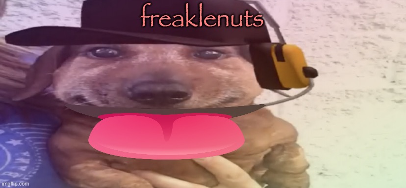 freaklenuts | freaklenuts | image tagged in chucklenuts | made w/ Imgflip meme maker