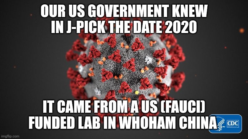 Who? whose ham are you? Who, who who | OUR US GOVERNMENT KNEW IN J-PICK THE DATE 2020; IT CAME FROM A US (FAUCI) FUNDED LAB IN WHOHAM CHINA | image tagged in covid 19,who cares,25 | made w/ Imgflip meme maker