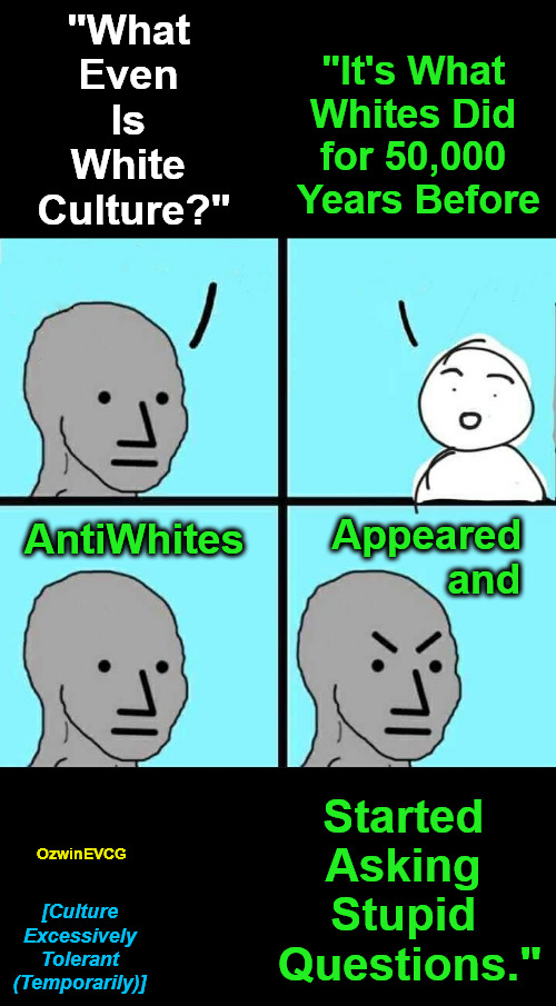 CETT | "What 

Even 

Is 

White 

Culture?"; "It's What 

Whites Did 

for 50,000 

Years Before; AntiWhites; Appeared 

         and; Started 

Asking 

Stupid 

Questions."; OzwinEVCG; [Culture 

Excessively 

Tolerant 

(Temporarily)] | image tagged in npc meme,antiwhite lies,liberal logic,white culture,immigration,white history | made w/ Imgflip meme maker