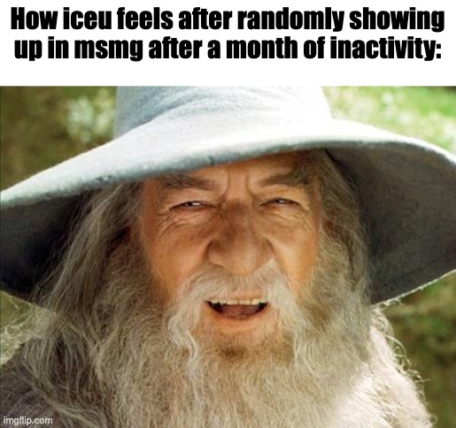 shitty ahh meme | How iceu feels after randomly showing up in msmg after a month of inactivity: | image tagged in a wizard is never late | made w/ Imgflip meme maker