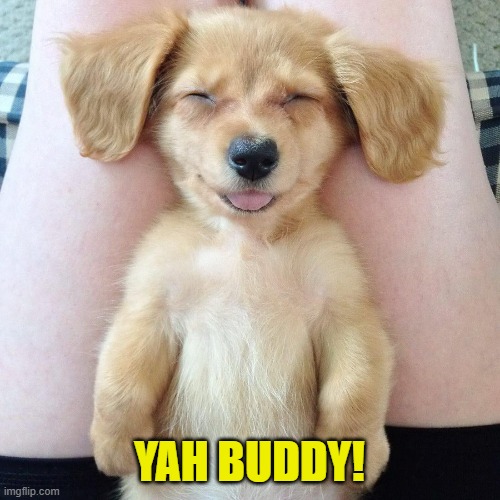 YAH BUDDY! | made w/ Imgflip meme maker