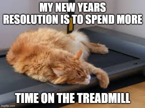 My cats New Years Resolution is to spend more time on the treadmill - humor - | MY NEW YEARS RESOLUTION IS TO SPEND MORE; TIME ON THE TREADMILL | image tagged in cats,kittens,new years resolutions,treadmill,funny,humor | made w/ Imgflip meme maker