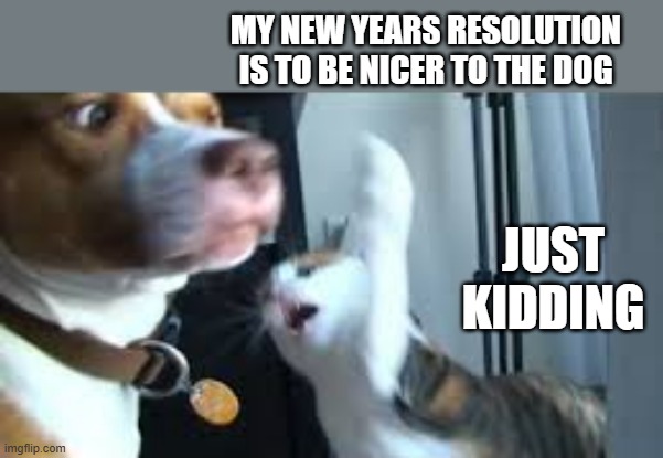 memes by Brad - My cats New Years resolution is to be nicer to the dog - JK - | MY NEW YEARS RESOLUTION IS TO BE NICER TO THE DOG; JUST KIDDING | image tagged in cats,kittens,new years resolutions,funny,dogs,humor | made w/ Imgflip meme maker