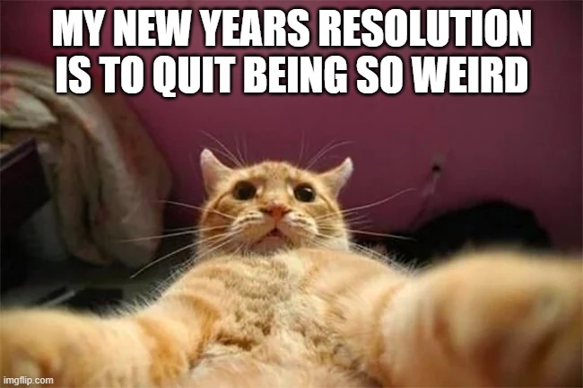 memes by Brad - Cats New Years resolution is to be less weird | MY NEW YEARS RESOLUTION IS TO QUIT BEING SO WEIRD | image tagged in funny,cat,kitten,new years resolutions,happy new year,weird | made w/ Imgflip meme maker