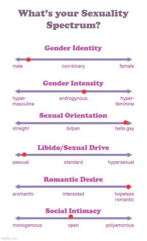 What's your sexuality spectrum? | image tagged in what's your sexuality spectrum | made w/ Imgflip meme maker