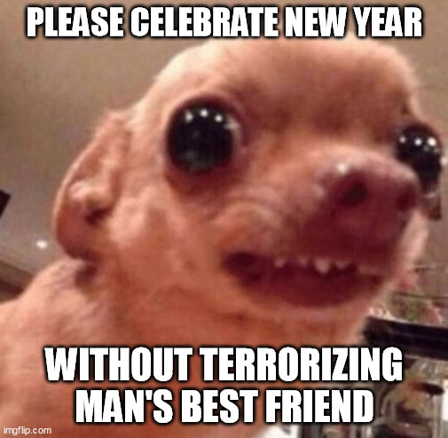 Just say no to fireworks around houses | PLEASE CELEBRATE NEW YEAR; WITHOUT TERRORIZING MAN'S BEST FRIEND | made w/ Imgflip meme maker