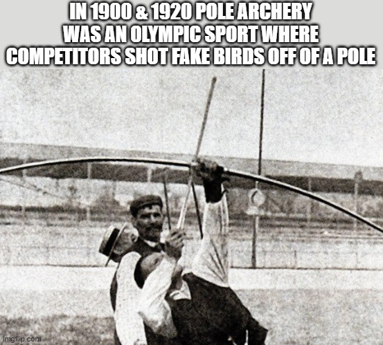 Pole archery was an Olympic sport where you shot fake birds off of a pole ! | IN 1900 & 1920 POLE ARCHERY WAS AN OLYMPIC SPORT WHERE COMPETITORS SHOT FAKE BIRDS OFF OF A POLE | image tagged in sports,olympics,archery,vintage,historical meme,shooting | made w/ Imgflip meme maker