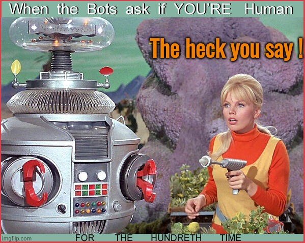 Prove you're not a robot | The heck you say ! | image tagged in lost in space,robot | made w/ Imgflip meme maker