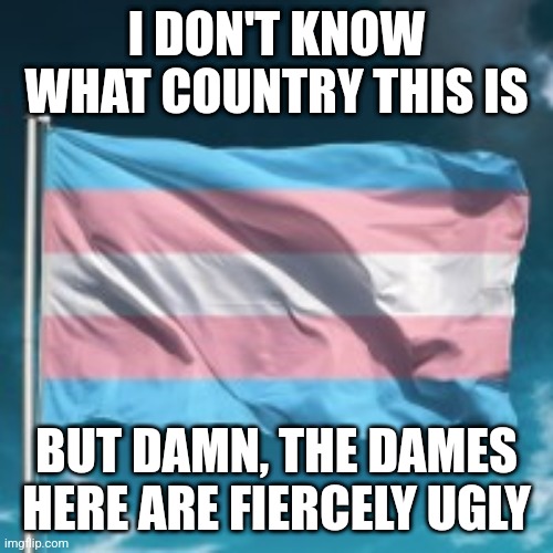 Trans Flag | I DON'T KNOW WHAT COUNTRY THIS IS BUT DAMN, THE DAMES HERE ARE FIERCELY UGLY | image tagged in trans flag | made w/ Imgflip meme maker