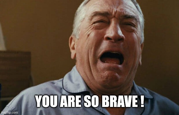 deniro crying | YOU ARE SO BRAVE ! | image tagged in deniro crying | made w/ Imgflip meme maker