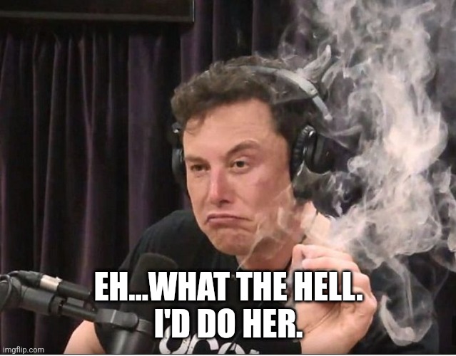 Elon Musk smoking a joint | EH...WHAT THE HELL.
I'D DO HER. | image tagged in elon musk smoking a joint | made w/ Imgflip meme maker