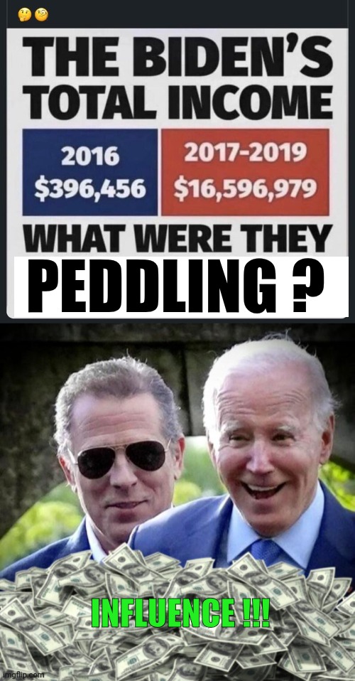 Biden family influence peddling | PEDDLING ? INFLUENCE !!! | image tagged in hunter biden and cash | made w/ Imgflip meme maker