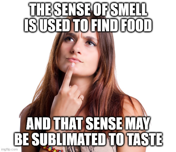 ⏳ 13:42 minute-seconds into memes overloading - FROM previous COMMENTS | THE SENSE OF SMELL IS USED TO FIND FOOD; AND THAT SENSE MAY BE SUBLIMATED TO TASTE | image tagged in thinking woman,comments | made w/ Imgflip meme maker