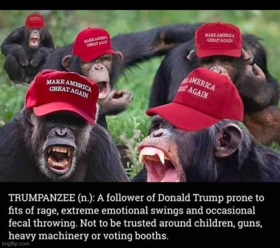 Trumpanzees | image tagged in trump,maga,gop,losers,sheep,conned | made w/ Imgflip meme maker