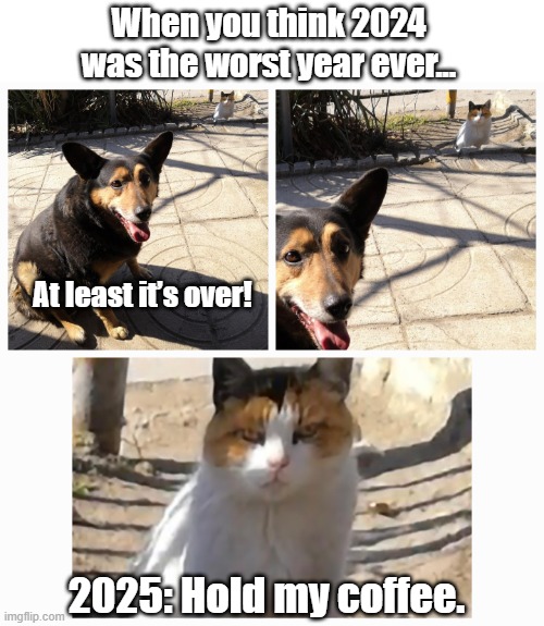 The Calm Before the Storm | When you think 2024 was the worst year ever... At least it’s over! 2025: Hold my coffee. | image tagged in grumpy cat,doge,dog,happy new year,cats,sarcasm | made w/ Imgflip meme maker