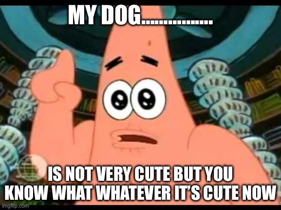 Doggo | MY DOG……………. IS NOT VERY CUTE BUT YOU KNOW WHAT WHATEVER IT’S CUTE NOW | image tagged in memes,patrick says | made w/ Imgflip meme maker